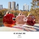 thumbnail image 5 of Perfume Coach Love Eau de Parfum en aerosol para mujer, 10 ml, 5 of 7