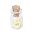 thumbnail image 4 of 4 Tarro de cristal en miniatura para casa de muñecas con tapa, rodajas de fruta, 4 of 9