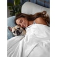 thumbnail image 3 of White Flat Sheet Only Twin Size, Soft Breathable Bed Top Sheets for Mattress, Modern Simple White Backdrop Luxury Bedding Flat Sheets for Home Hotel Bedroom Bed Protection, 3 of 9