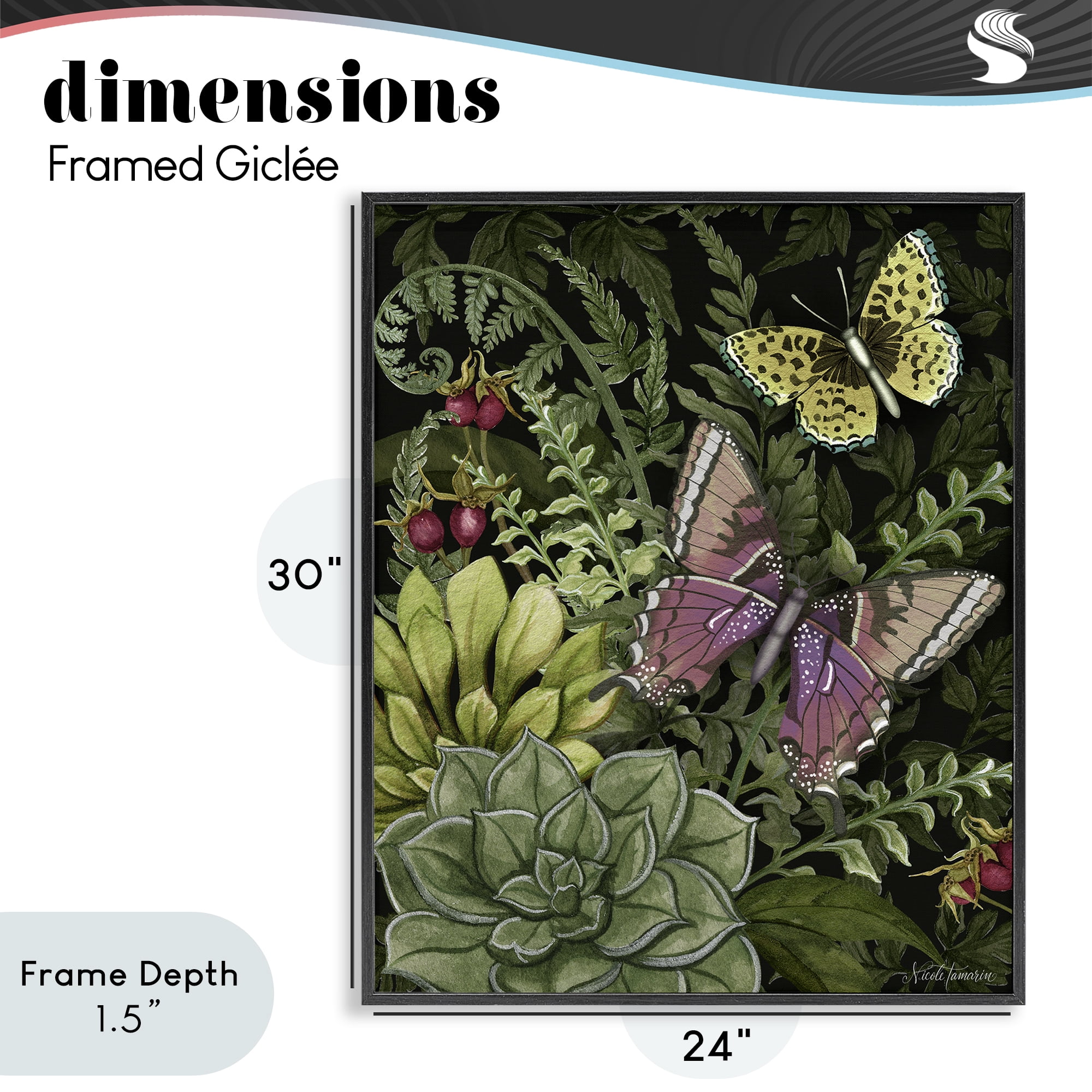 Stupell Industries Dark Succulents Midnight Garden Black Framed Giclee Art, design by Nicole Tamarin
