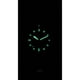 thumbnail image 2 of Fossil Blue Dive Stainless Steel Black Dial Quartz FS6032 100M Men's Watch, 2 of 4
