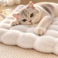 thumbnail image 5 of Plush Fluffy Area Rug, White Room Decor, Cute Room Decor, Floor Decor for Living Room, 20X15 Inch Soft Bubble Textured Non-Slip Mat for Indoor Use, 5 of 5
