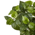 thumbnail image 2 of Nearly Natural Platic 16" Green Pothos Artificial Plant (Set of 6), 2 of 3