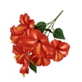 thumbnail image 5 of Mainstays 19’’H Indoor Artificial Floral Mixed Bush, Hibiscus, Orange Color., 5 of 8