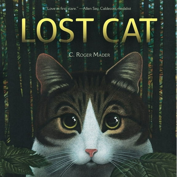 Lost Cat, (Hardcover)