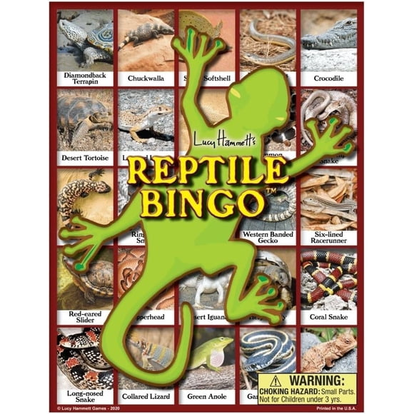 Juego educativo de bingo de reptiles Lucy Hammett Games