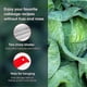 thumbnail image 4 of Cabbage Slicer Chopper Shredder Sauerkraut Cutter Coleslaw Slaw Kitchen Tools, 4 of 5