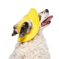 thumbnail image 2 of Canada Pooch 628284114000 Torrential Tracker Hat for Dog, Yellow - Large, 2 of 3