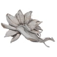 thumbnail image 2 of Vickerman 12-16" Gray Wash Star Pod, Extra Large, Dried, 2 of 7