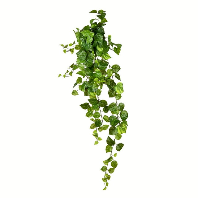 Vickerman Arbuste Suspendu en Feuilles de Pothos Vert de 51 Pouces - FZ190751