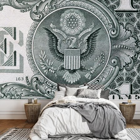 dollar bill removable wall mural | selfadhesive large wallpaper 100x144 inches