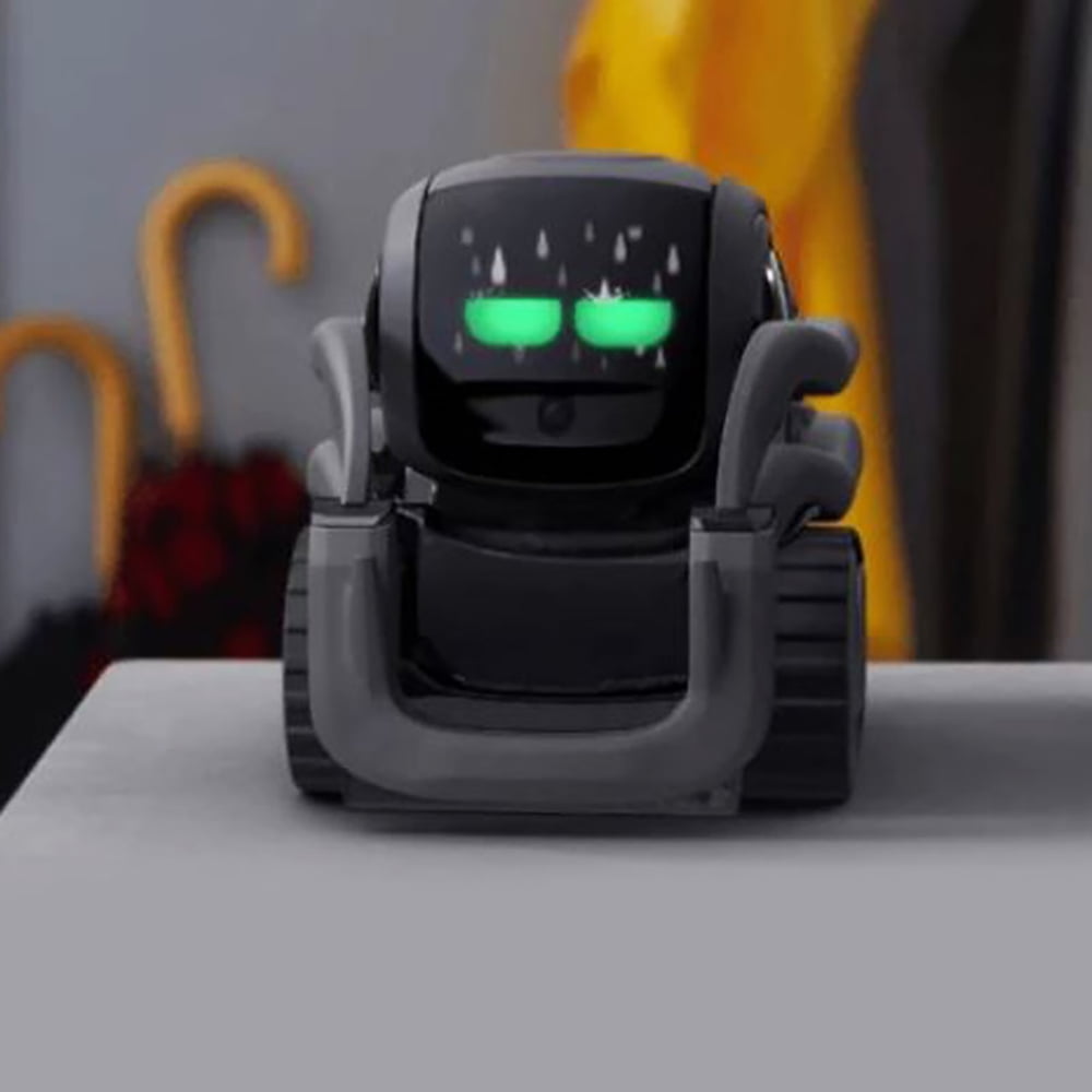  Vector Robot by Anki, A Home Robot Who Hangs Out & Helps Out  For facial recognition, With  Alexa Built-In For 5-99 Years : Toys &  Games