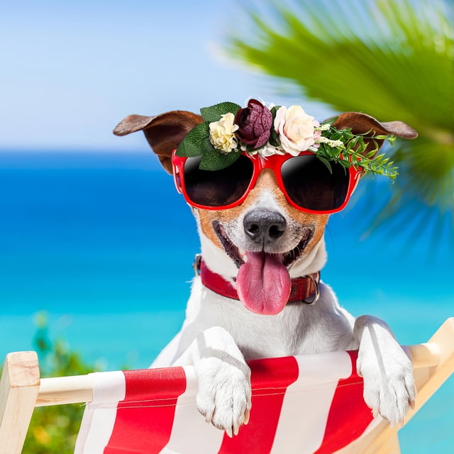 WEUVEB 1Ud Floral Para Mascotas Con Artificiales Y Hojas Para De