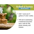 thumbnail image 4 of Sanco 88002 Bird Bath & Fountain Maintenance, 8 oz, 4 of 7