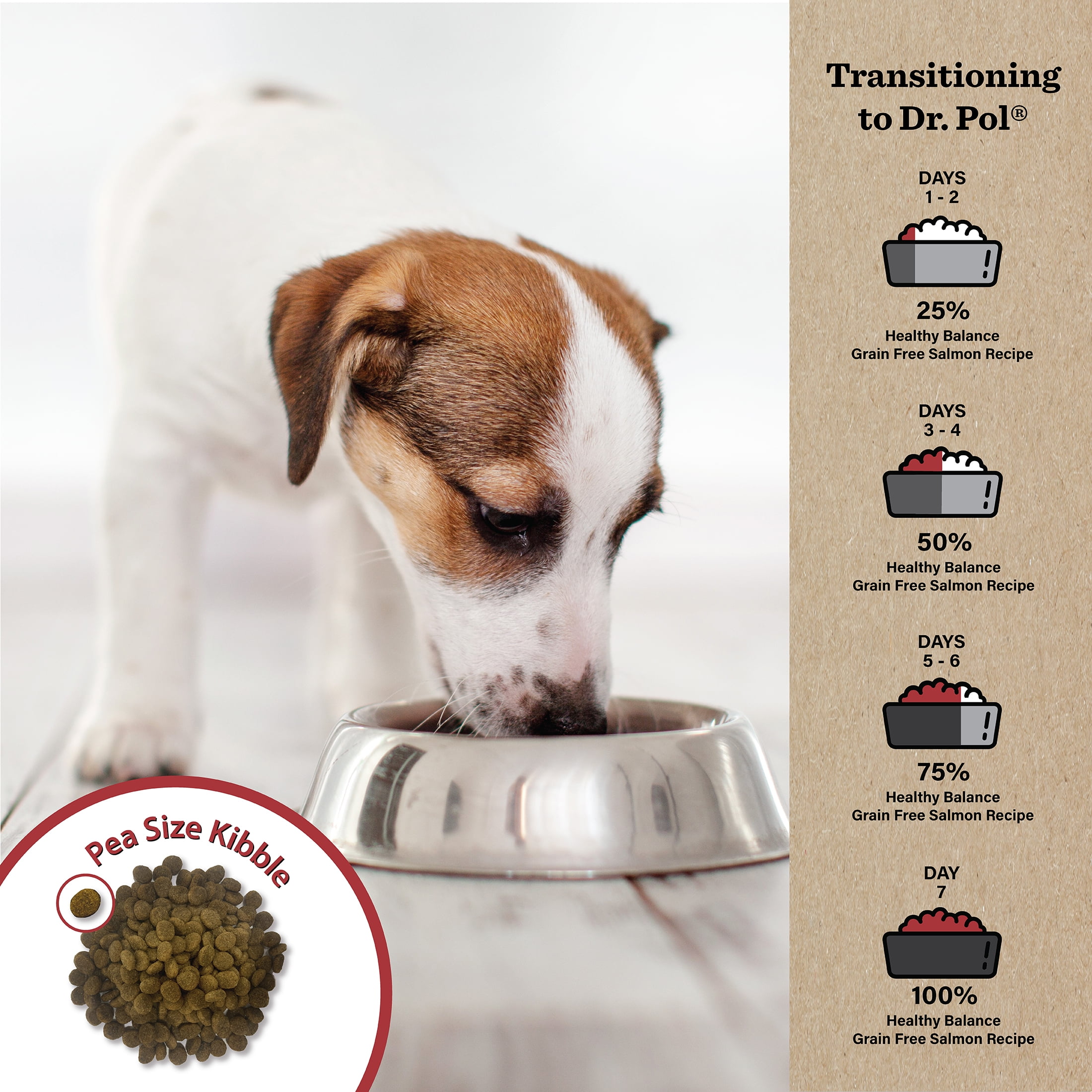Dr. Pol Healthy Balance Limited Ingredient Grain-Free Salmon Recipe Dog Food, 4 lb. Bag