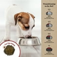 thumbnail image 6 of Dr. Pol Healthy Balance Limited Ingredient Grain-Free Salmon Recipe Dog Food, 4 lb. Bag, 6 of 8