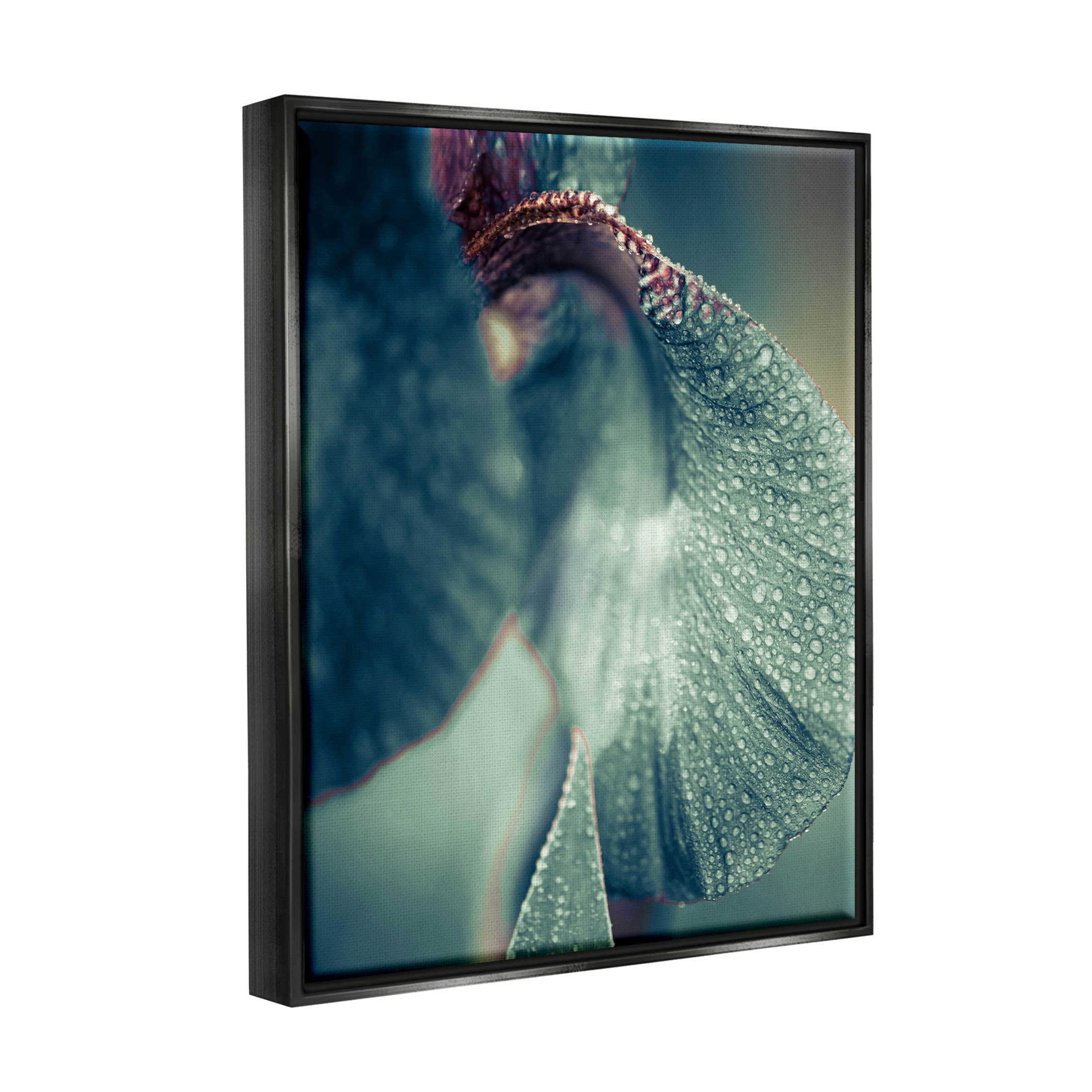 Close Up Water Drip Petals Botanical & Floral Photograph Jet Black Framed Art Print Wall Art
