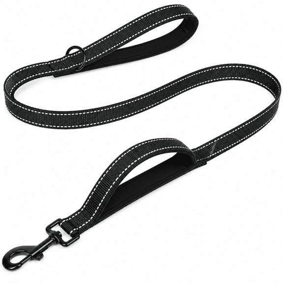 Heavy Duty Dog Leash - 2 Handles by Padded Traffic Handle for Extra Control, 6foot Long - Perfect for Medium to Large Dogs (6 ft, Black)