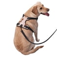 thumbnail image 2 of Balery Star Cute Dog Arnés para Perros Grandes Antitirones, Arnés con Correa para Gato, Arnés Tipo Chaleco para Perros Pequeños-Large, 2 of 6
