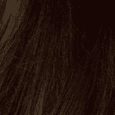 Medium Neutral Brown