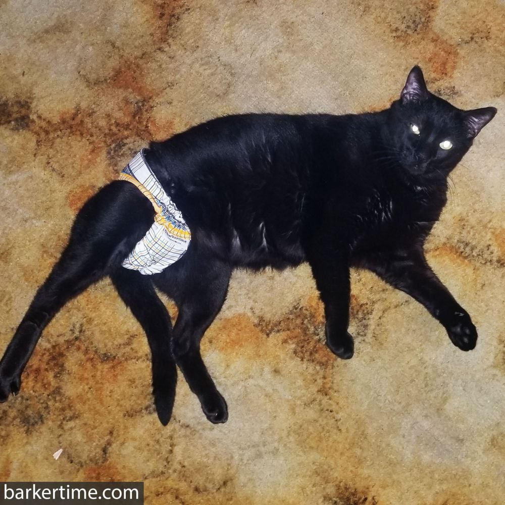 Barkertime Blue and Yellow Plaid Cat Diaper Pull-up