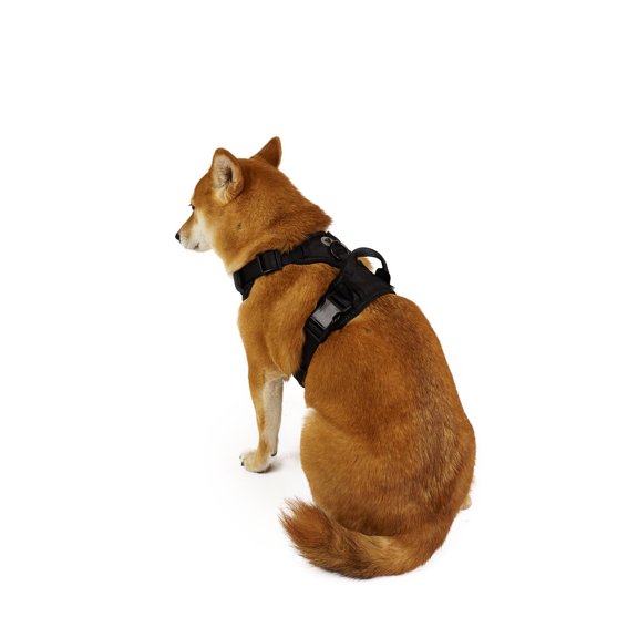 One Paw, Dog Harness with Bonded Mesh and Reflective Stitching, Multiple Sizes and Colour