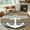 Brown, variant on Nautical Anchor Area Rug 4x6 Washable Rug Non Slip Red Brown Retro Gradient Wooden Grain Large Area Rug Indoor Floor Carpet for Entryway Bedroom Kitchen Living Room Home Office Dining Room Nursery