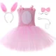 thumbnail image 3 of Vestido de tutú de conejo de Pascua rosa, disfraz para niñas pequeñas, ropa de fiesta de cumpleaños, bonito vestido de princesa de tul con conejo, 3 of 5