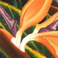thumbnail image 2 of Higby, Jason 12x12 Black Ornate Wood Framed with Double Matting Museum Art Print Titled - Bird of Paradise Tile III, 2 of 4