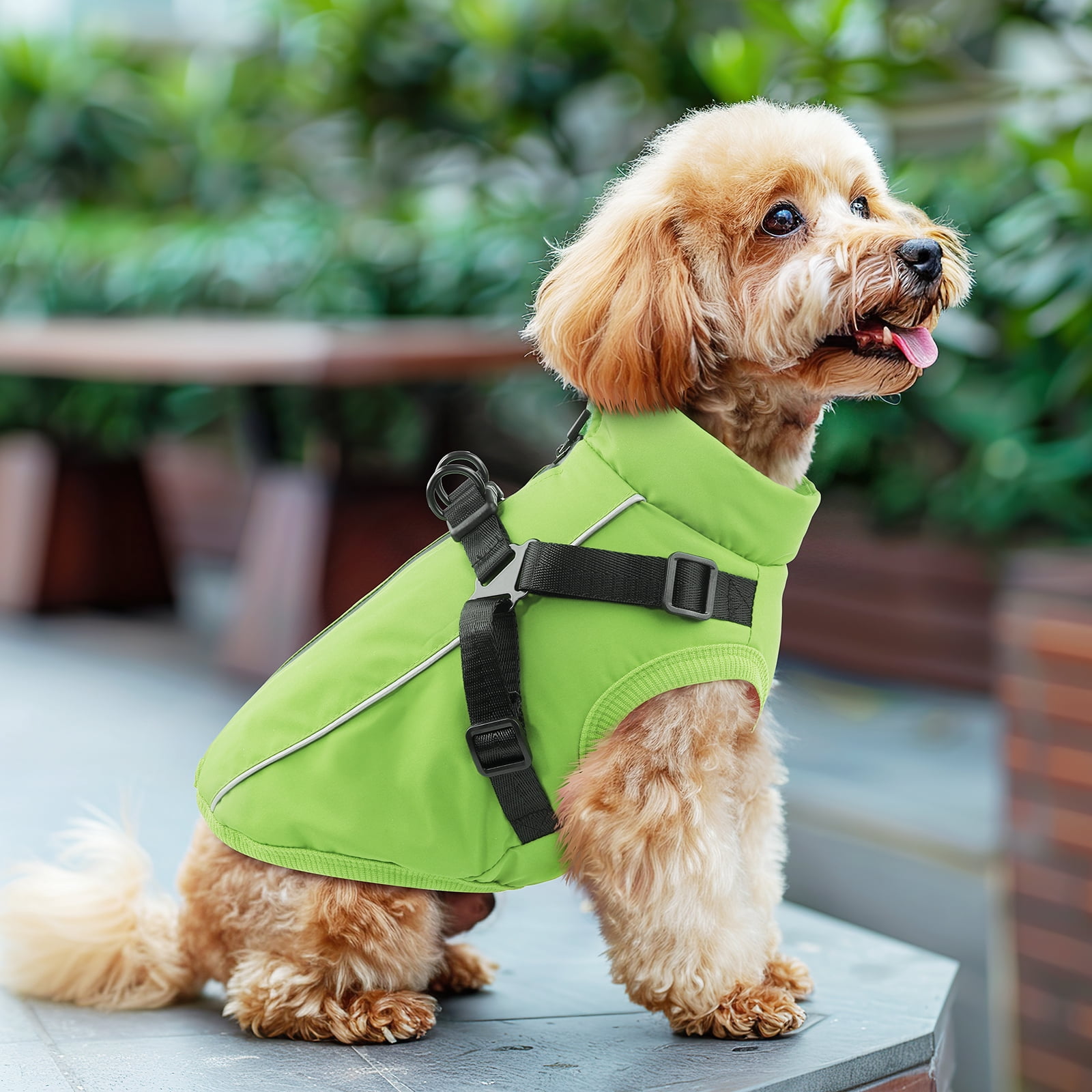 PcEoTllar Dog Winter Coat with Harness, Reflective Dog Vest Jacket for Small Dogs 9-15 lbs, Green