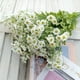thumbnail image 5 of 30 cabezas de flores artificiales de manzanilla individuales, pequeño ramo de margaritas, decoración de margaritas falsas para sala de estar, flores secas de crisantemo, adornos de flores, 5 of 5