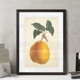 thumbnail image 2 of Antique Pear Botanical II - Barnwood Framed - 18 x 24 - Black, 2 of 4