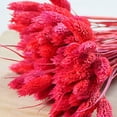 thumbnail image 3 of Coofit Dry Flower Branch DIY 24PCS Simple Natural Dried Grass Stem Dry Grass Decor, 3 of 8