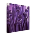 thumbnail image 2 of Trademark Fine Art 'Purple Ring Toss' Canvas Art by Roderick Stevens, 2 of 3