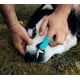 thumbnail image 2 of 2 cepillos de dientes de silicona para perros, diseño ergonómico, fáciles de usar, color azul., 2 of 5