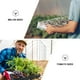 thumbnail image 2 of EeaseMX Bandeja de 24 agujeros, juego de 3 piezas, bandeja para germinar, bandeja para cultivar pasto de trigo sin tierra, bandeja para vegetales, 2 of 8