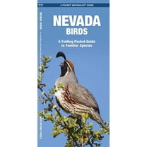 State Nature Guides: Nevada Birds: A Folding Pocket Guide to Familiar Species (Paperback)