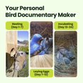 thumbnail image 4 of Smart Bird House Birdfy 2025 con energía solar de doble cámara 1080P, 4 of 9