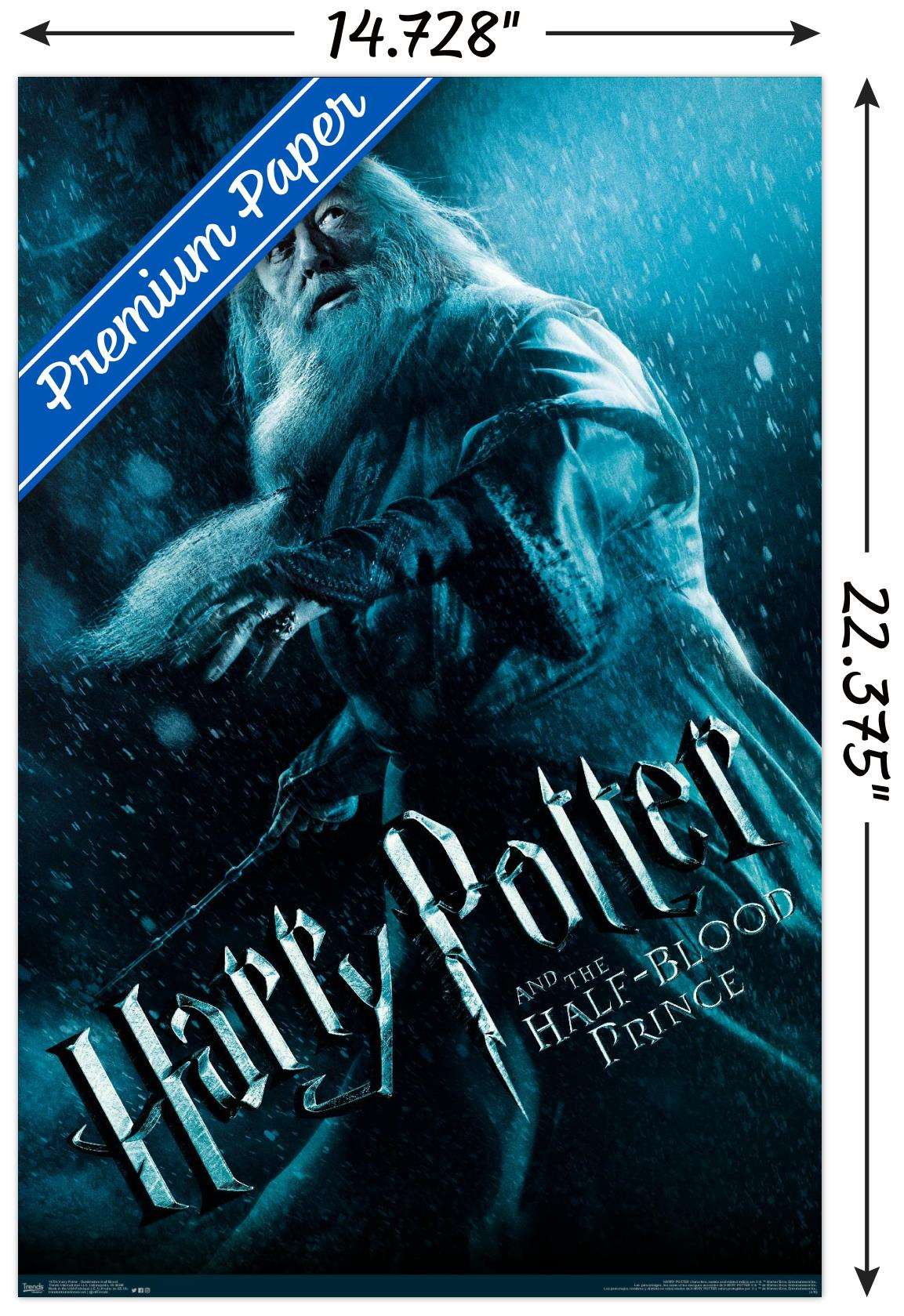 Harry Potter and the Half-Blood Prince - Dumbledore One Sheet Wall Poster, 14.725" x 22.375"