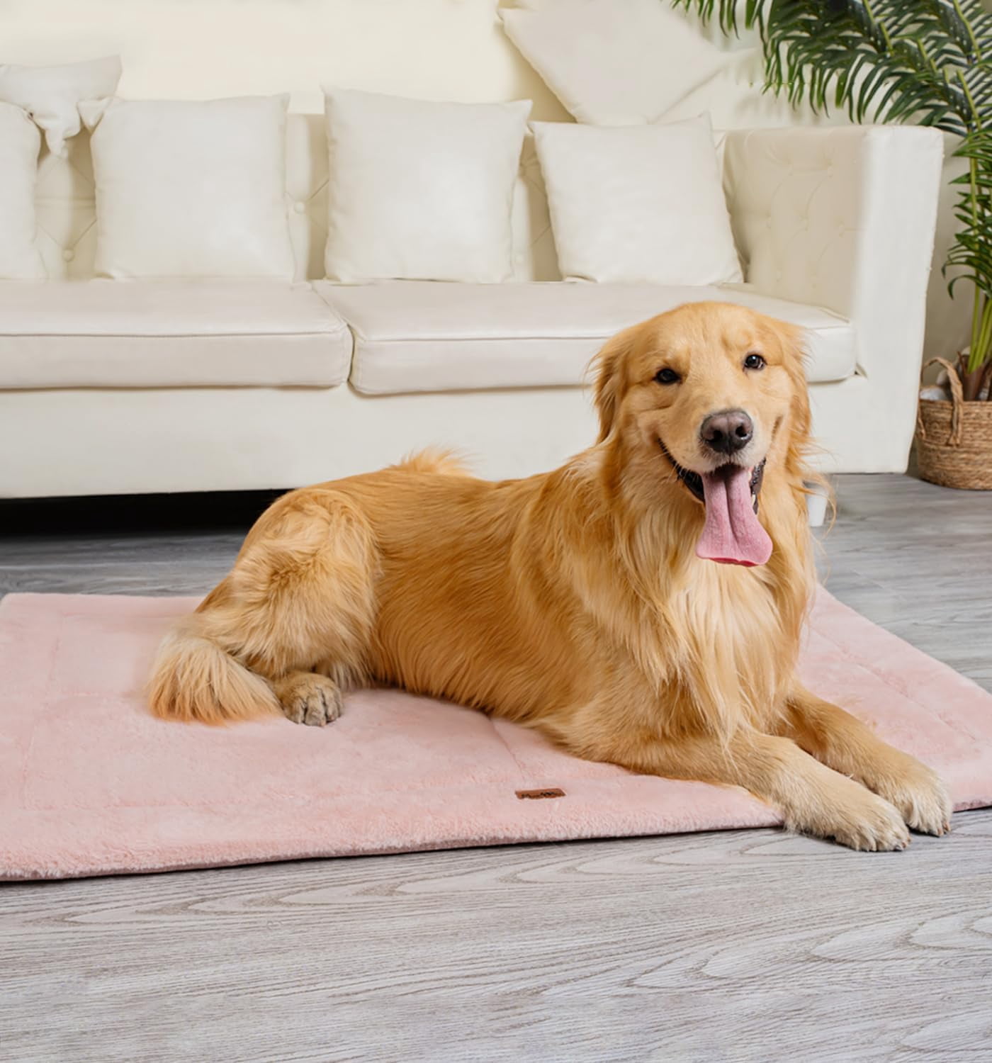 Made4pets Washable Dog Bed for Size Dogs, Reversible Foam Floor Dog Mat, 41x28, Pink