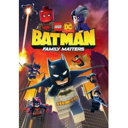 Lego DC Super Heroes The Flash DVD Warner Home Video Animation Walmart