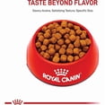 thumbnail image 2 of Royal Canin Feline Breed Nutrition Maine Coon Adult Dry Cat Food 14 lbs., 2 of 2