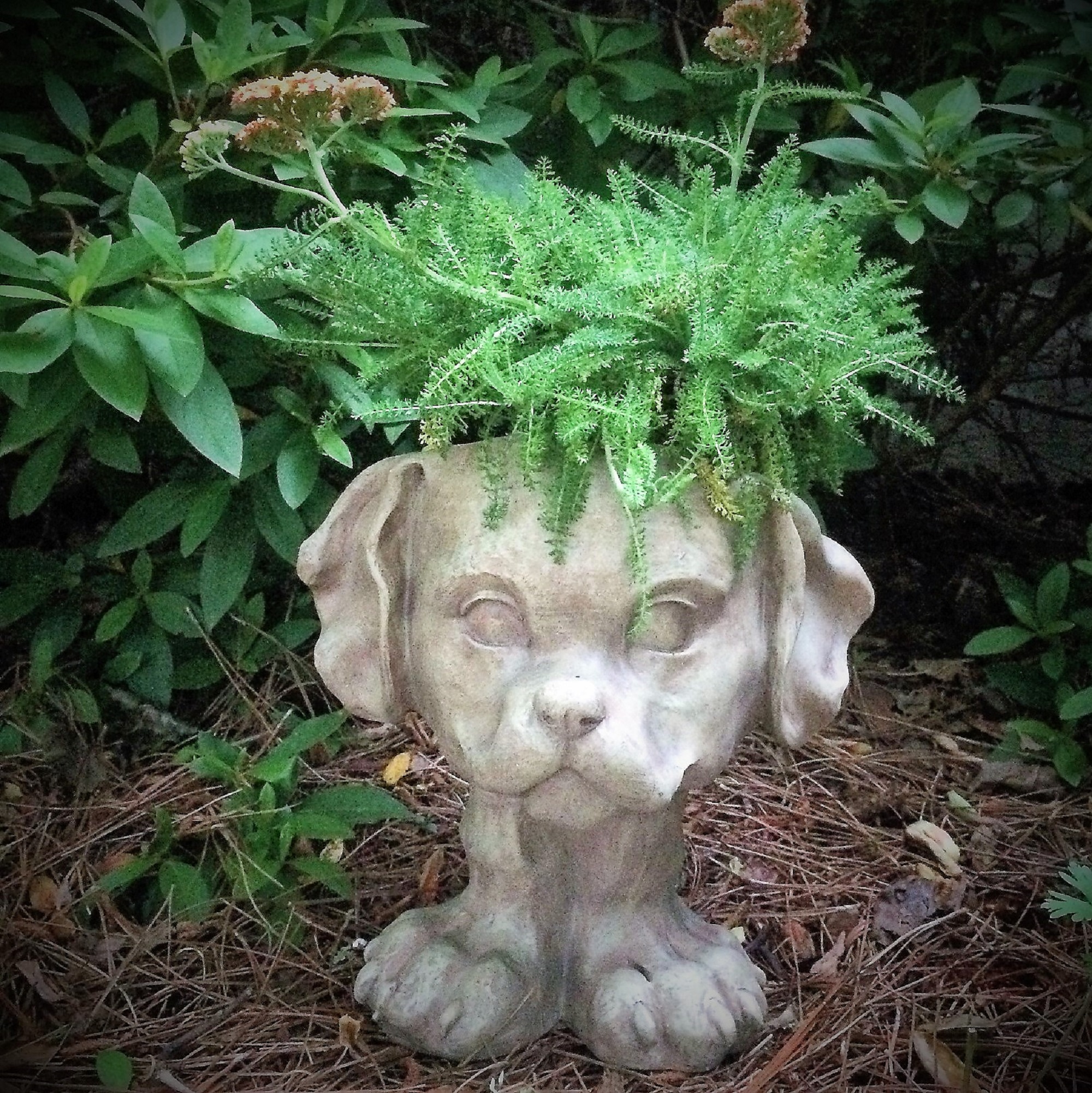 Homestyles 12 in. "Scruffy" the Cat & "Muttley" the Dog Muggly Animal Face Statue Planter Pot