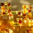 2024-Pressed Flower Resin Letter with LED Light Floral Night Lights