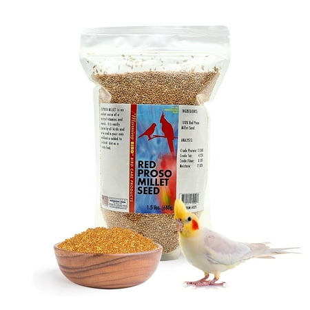Morning Bird Red Proso Millet Bird Seeds 1.5 lbs – Healthy & Nutritious Pet Bird Food - Bird Seeds for Feather Growth – Perfect for Finches, Parakeets & Other All Pet Birds