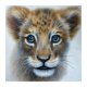 thumbnail image 1 of Cuadros Decorativos DIY 5D gato Animal redondo completo taladro Rhinestone diamante pintura mosaico trabajo hecho a mano DQrwqpou Nuevos Originales, 1 of 8