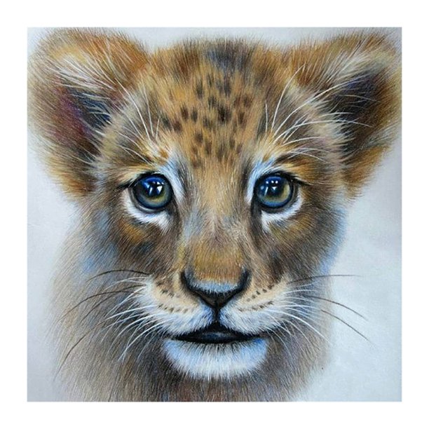 Cuadros Decorativos DIY 5D gato Animal redondo completo taladro Rhinestone diamante pintura mosaico trabajo hecho a mano DQrwqpou Nuevos Originales
