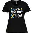 thumbnail image 3 of Inktastic Just Down Right Perfect Down Syndrome Awareness Ribbon Women's Plus Size T-Shirt, 3 of 5