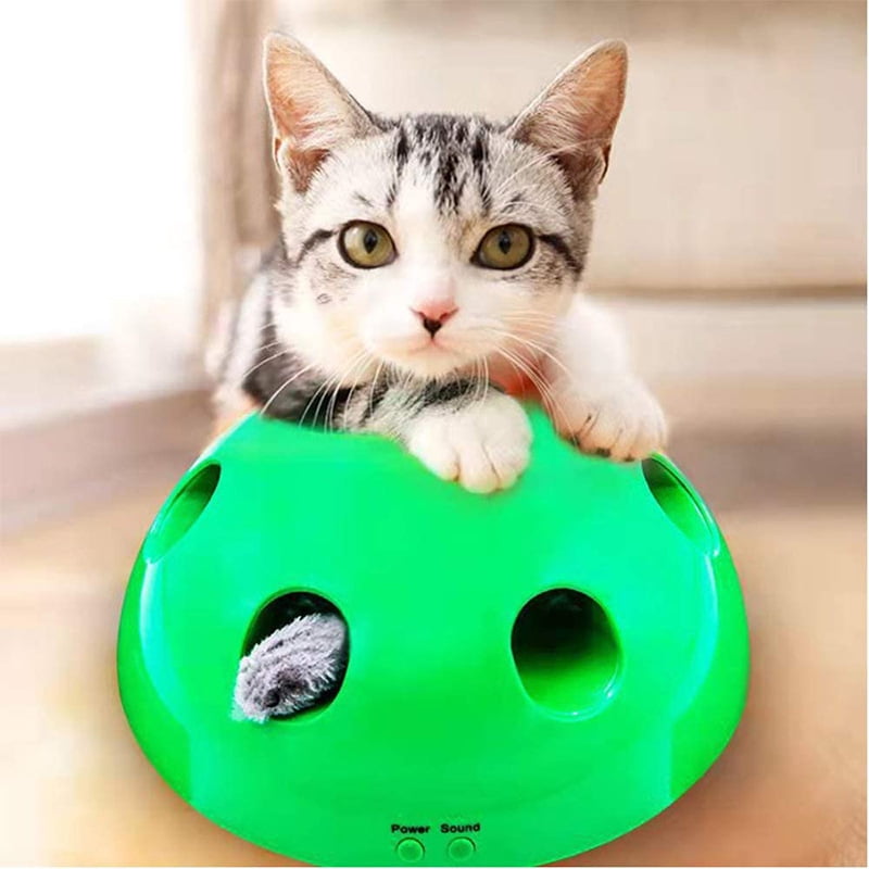 Motorized Interactive Cat Toy with Mouse and Feather Uganda Ubuy