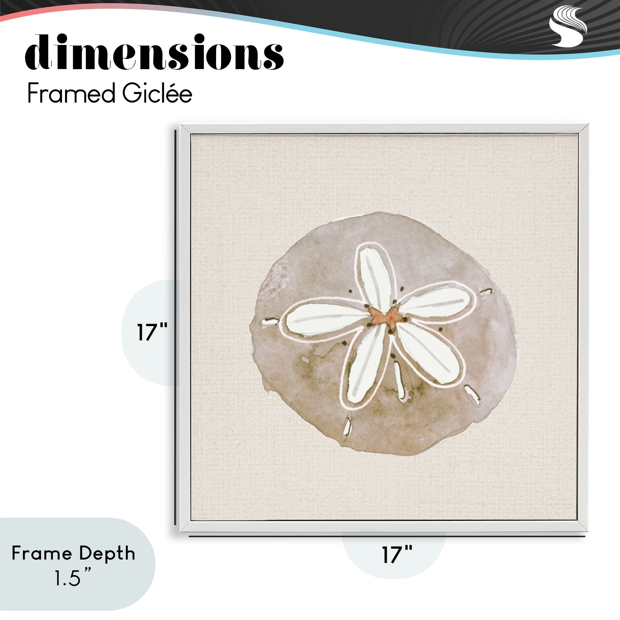 Stupell Industries Serene Beige Sand Dollar White Framed Giclee Art, design by Lanie Loreth